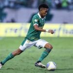 Estevao williams Palmeiras